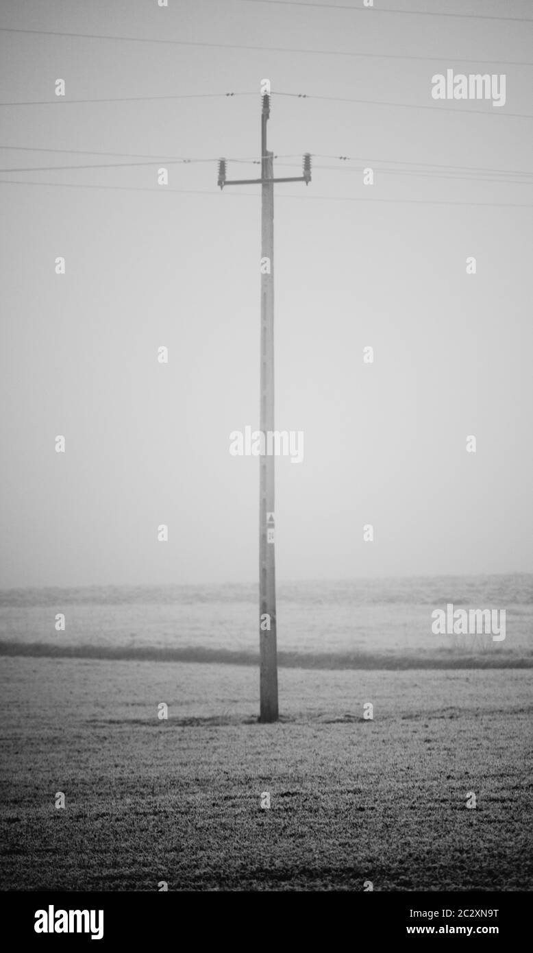 pilone a linea singola in piedi da solo sul campo durante il giorno di nebbia nella stagione invernale Foto Stock