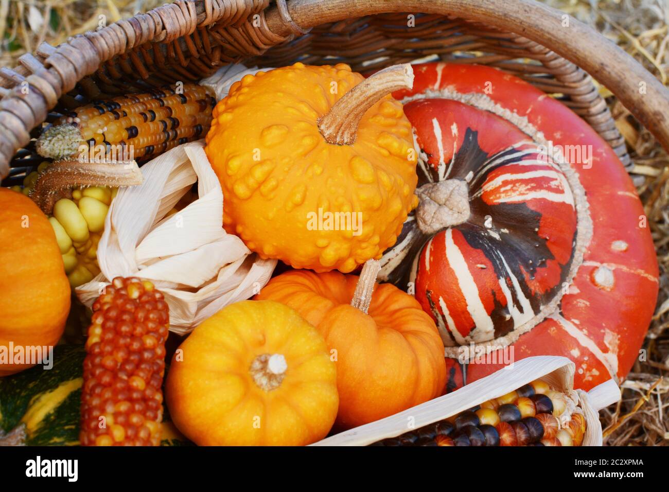 Close-up di coloquintidi ornamentali e Fiesta le pannocchie di granturco dolce con un turbante turchi squash in un cesto rustico Foto Stock