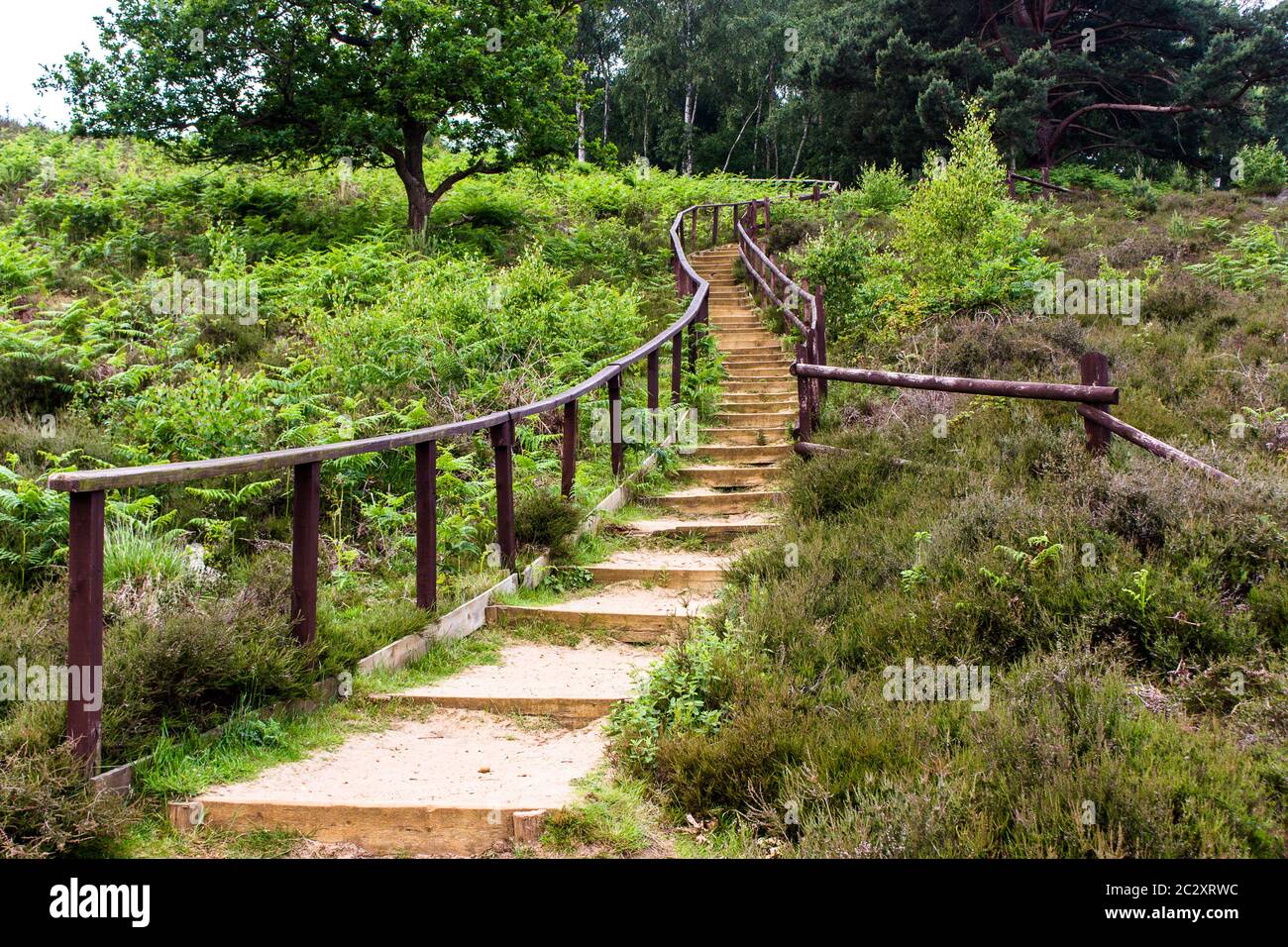 Questo bel sentiero largo conduce verso la cima delle vecchie scogliere a Wolverton, Norfolk del Nord, Regno Unito. Foto Stock