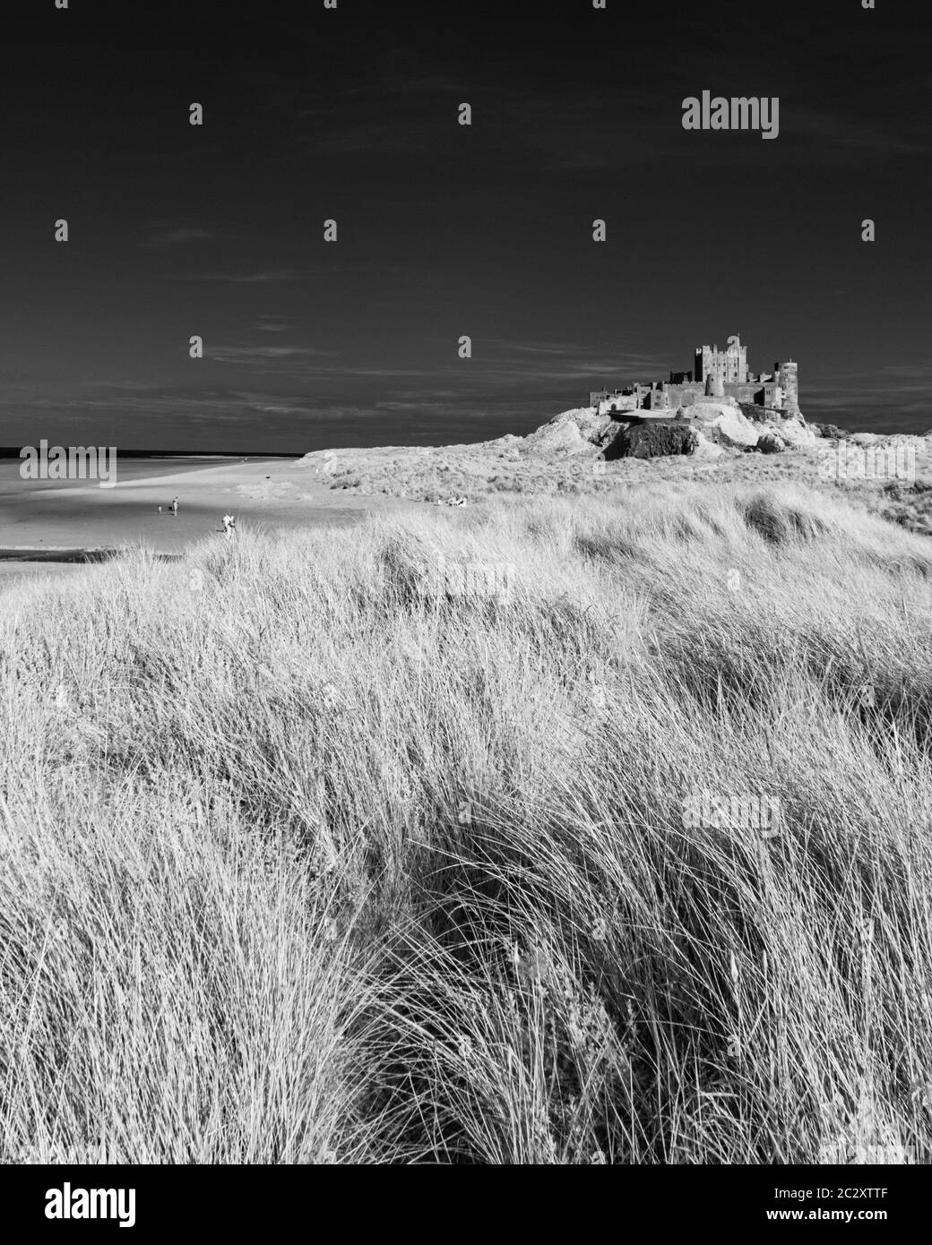 Bambburgh Castle, Bamburgh, Northumberland, Inghilterra, Regno Unito Foto Stock