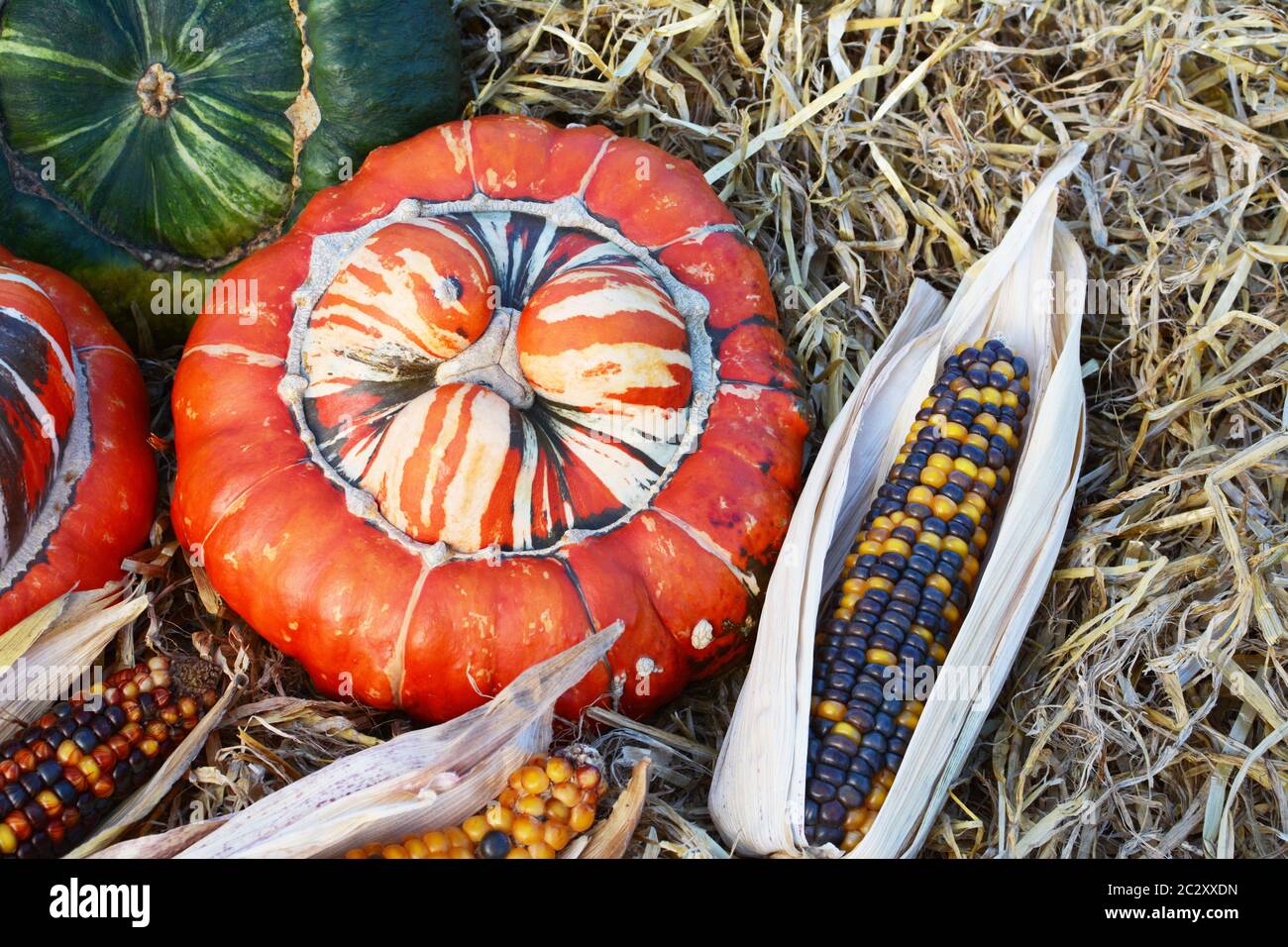 Arancione a strisce turchi turbante zucca ornamentale con Fiesta granturco dolce sulla paglia Foto Stock