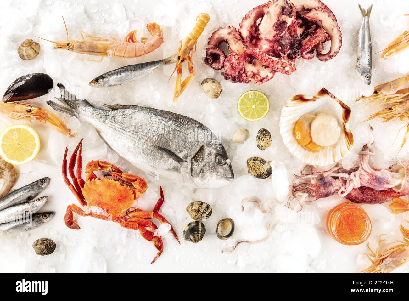 Pesce e frutti di mare, un piatto di posare top shot su uno sfondo bianco. Pesce fresco, gamberetti, granchio, calamari, cozze e vongole, polpo Foto Stock