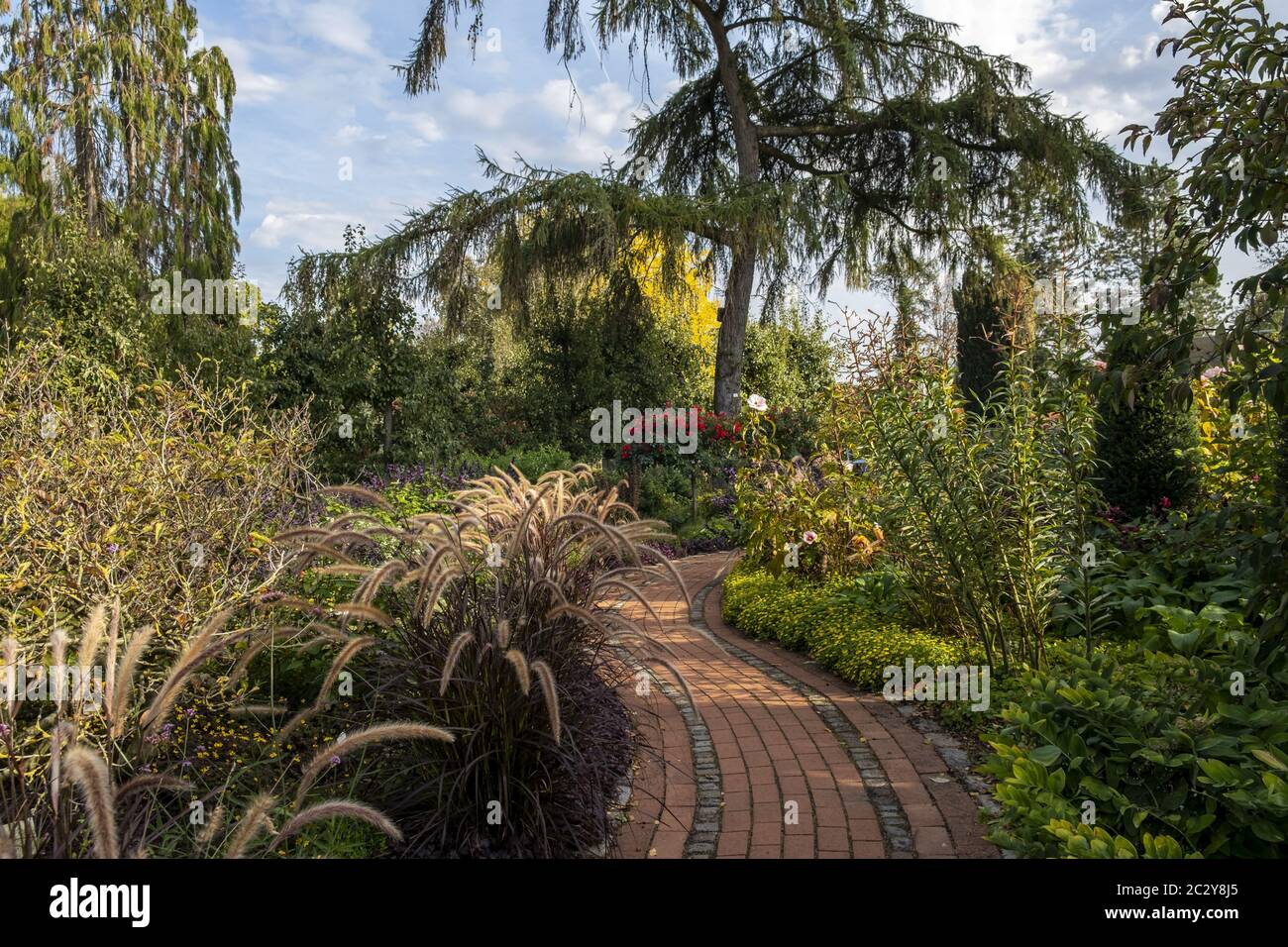 Sentiero giardino in autunno Foto Stock