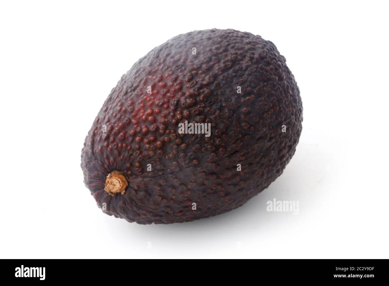 Avocado Foto Stock
