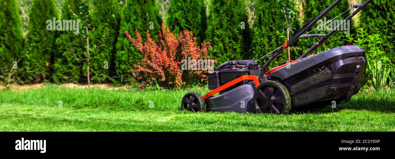 Tosaerba che taglia erba verde alta in cortile Foto Stock