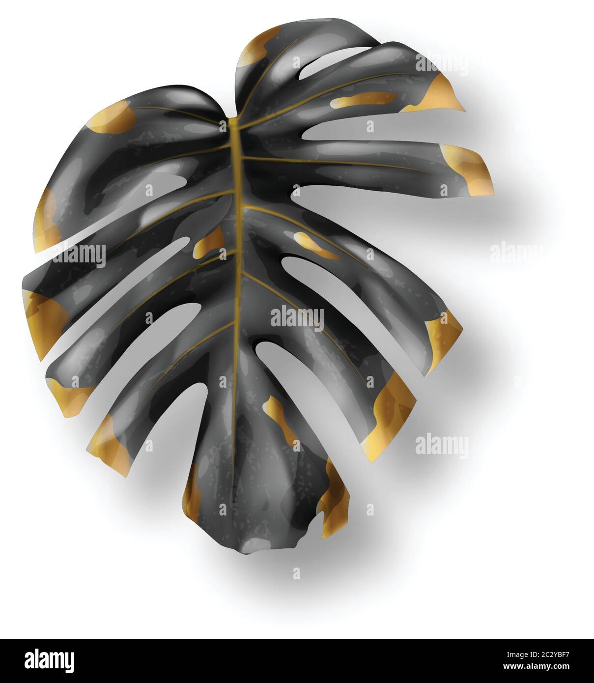 Foglia di monstera tropicale nera e oro su sfondo bianco vettore. Splendido elemento di design botanico isolato, pianta di palma della giungla tropicale, filodo esotico Illustrazione Vettoriale