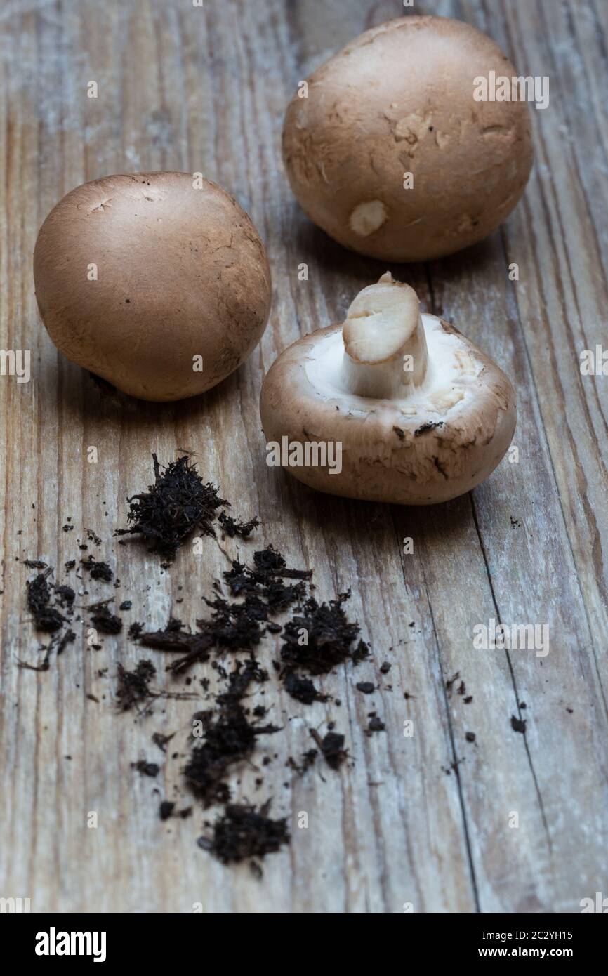 Champignons marrone su legno di fondo concetto. Foto Stock