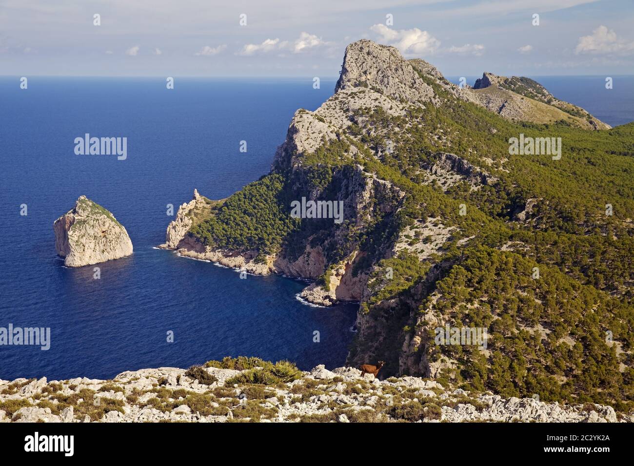 penisola di Cap Formentor, Maiorca, Isole Baleari, Spagna, Europa Foto Stock