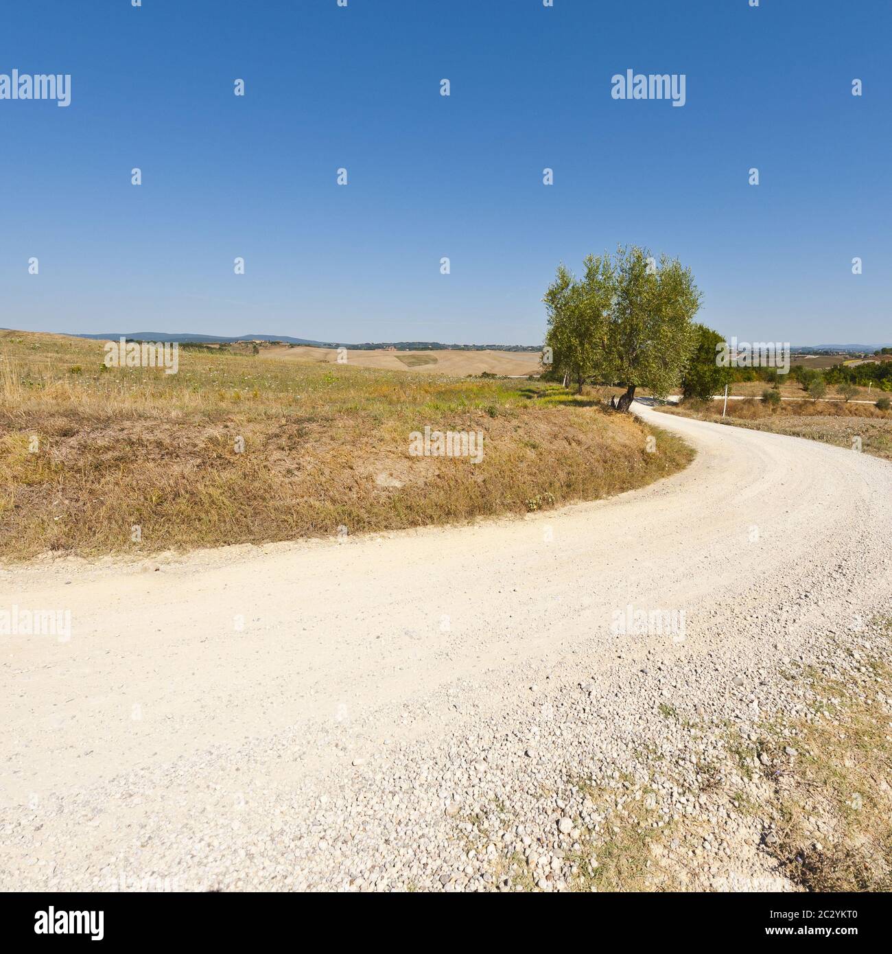 Fattoria tortuosa strada sterrata immagini e fotografie stock ad alta ...