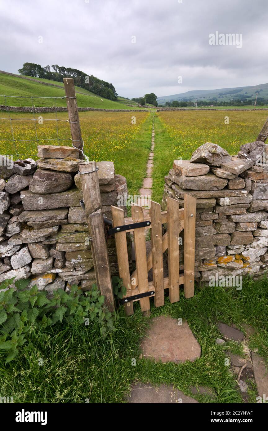 Sentiero pubblico attraverso prati di fieno tra Hardraw e Hawes, Yorkshire Dales National Park, Regno Unito Foto Stock