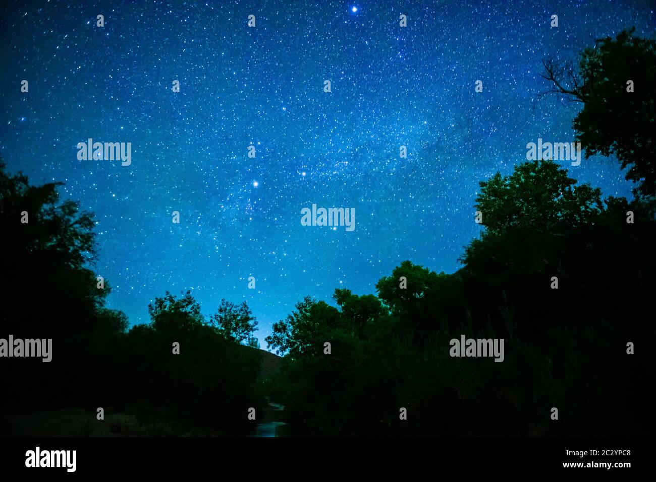 Notte stellata nella zona di Gavilan, sonora, Mexico.Star, stelle Noche de estrellas en El Gavilan, sonora, Messico. (Foto di Misael Glaus/Norte Photo) Foto Stock