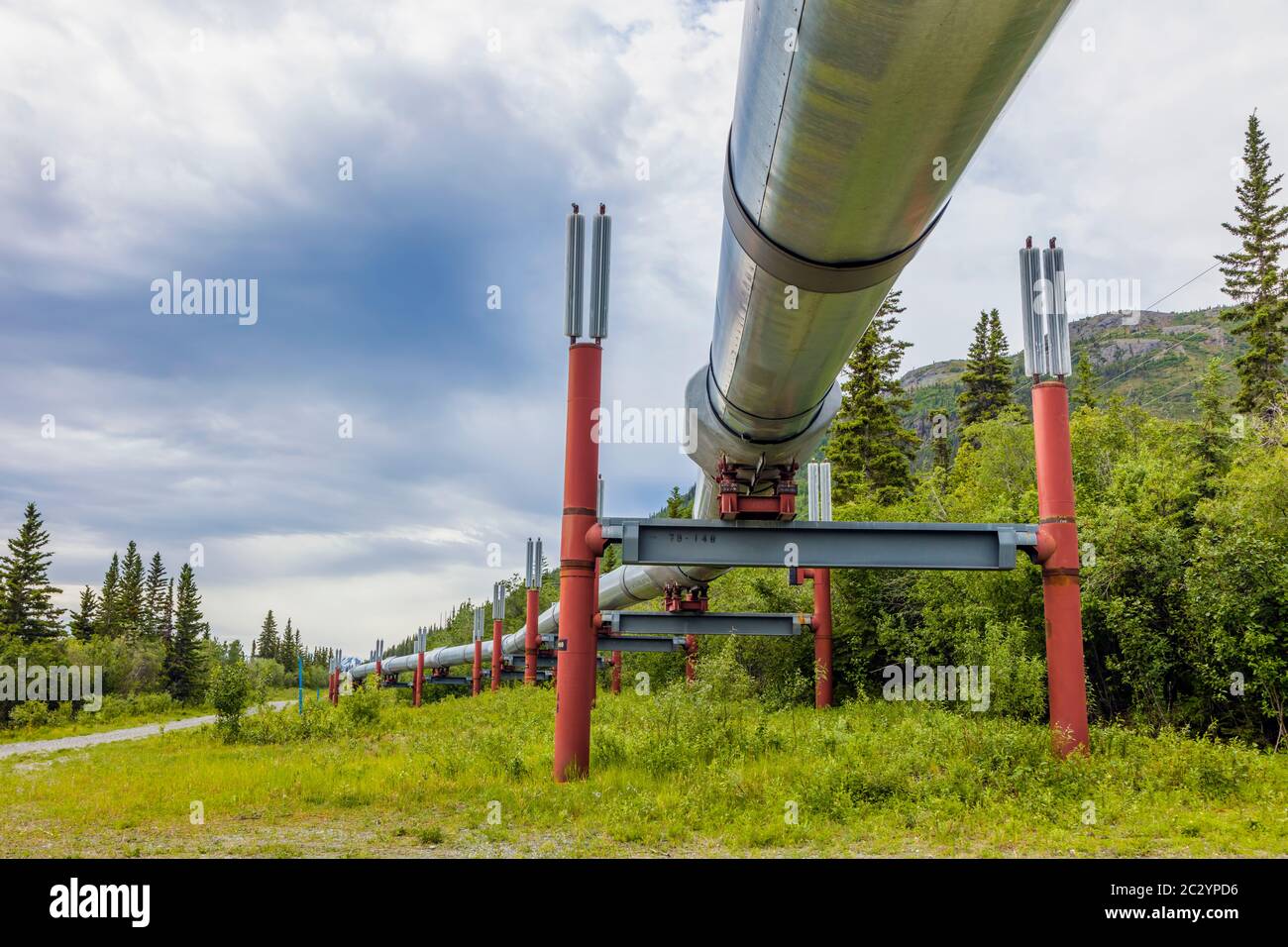 Alyeska Pipeline che attraversa il paesaggio montuoso, Glennallen, Alaska, USA Foto Stock