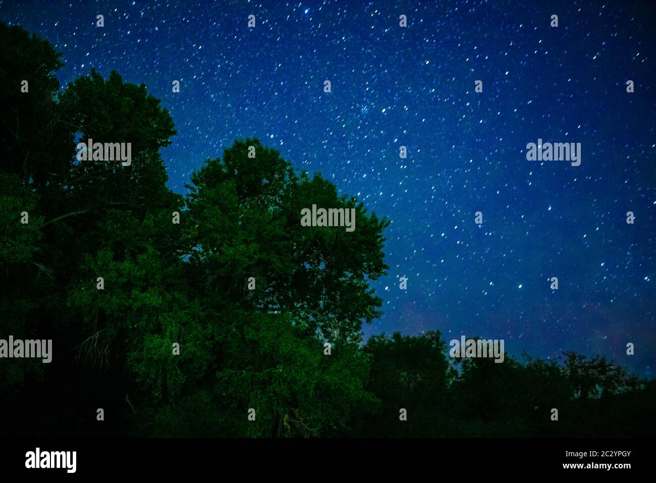 Notte stellata nella zona di Gavilan, sonora, Mexico.Star, stelle Noche de estrellas en El Gavilan, sonora, Messico. (Foto di Misael Glaus/Norte Photo) Foto Stock