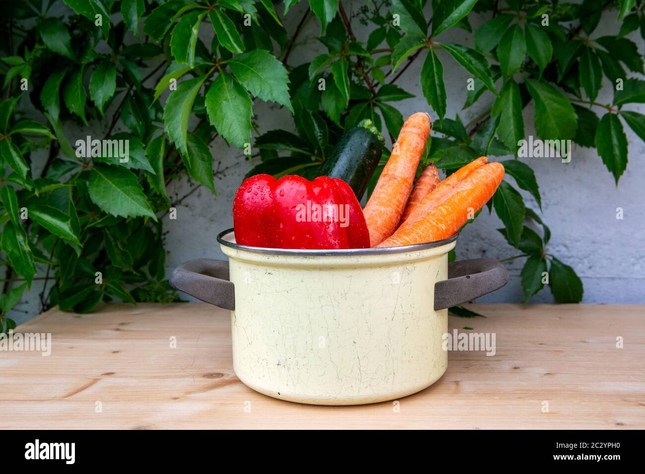 peperone, zucchine e carote in pentola rustica su tavolo di legno con pianta sullo sfondo Foto Stock