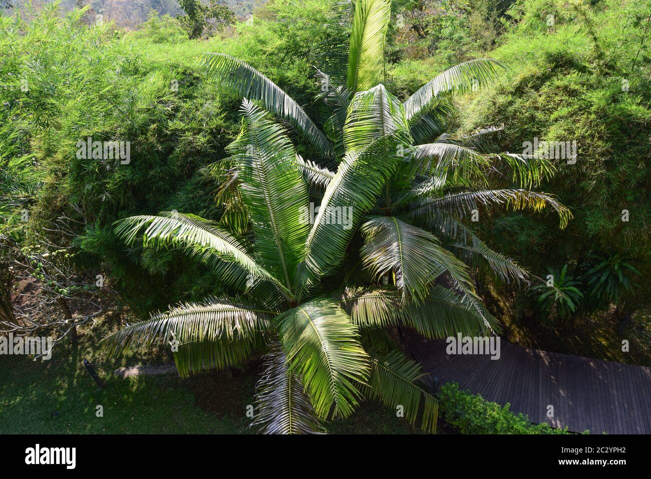 River Kwai/Hintock Camp/Hellfire Pass 140120 Foto Stock