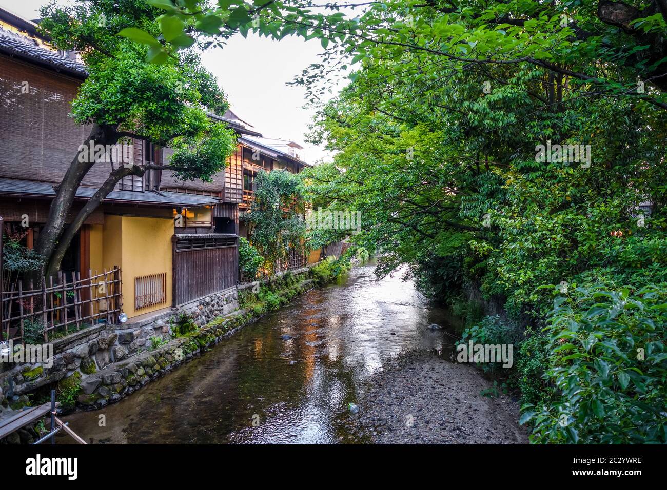 Case tradizionali giapponesi sul Fiume Shirakawa nel quartiere Gion, Kyoto, Giappone Foto Stock