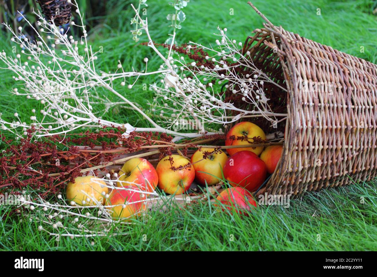 Cesto di frutta Foto Stock