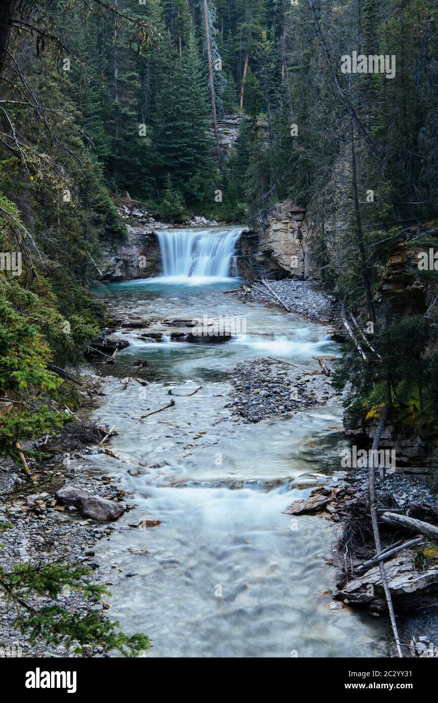 Vista rilassante della cascata nella foresta, Banff, Alberta, Canada Foto Stock