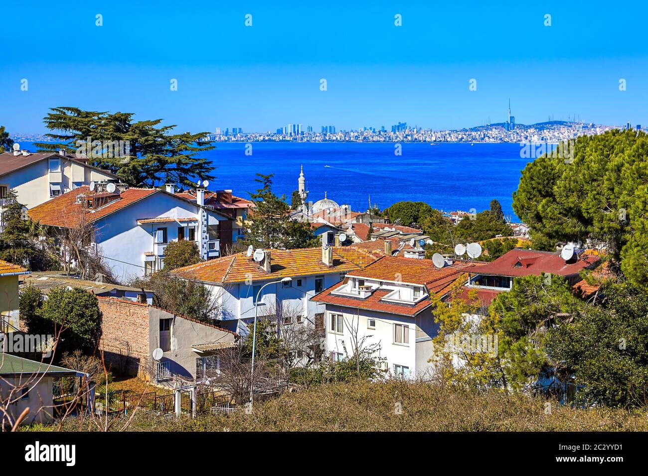 Istanbul, Turchia - 13 febbraio 2020: Isole dei principi, Distretto di Adalar, Mare blu di Marmara vicino all'Isola di Buyukada, e ville e giardini di vacanza. Foto Stock
