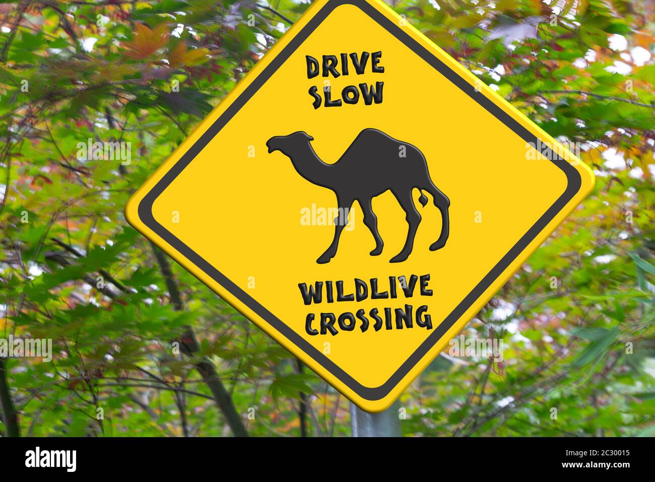 In primo piano un simbolo giallo di avvertimento con iscrizione in inglese - Unità lento attraversamento della fauna selvatica Foto Stock