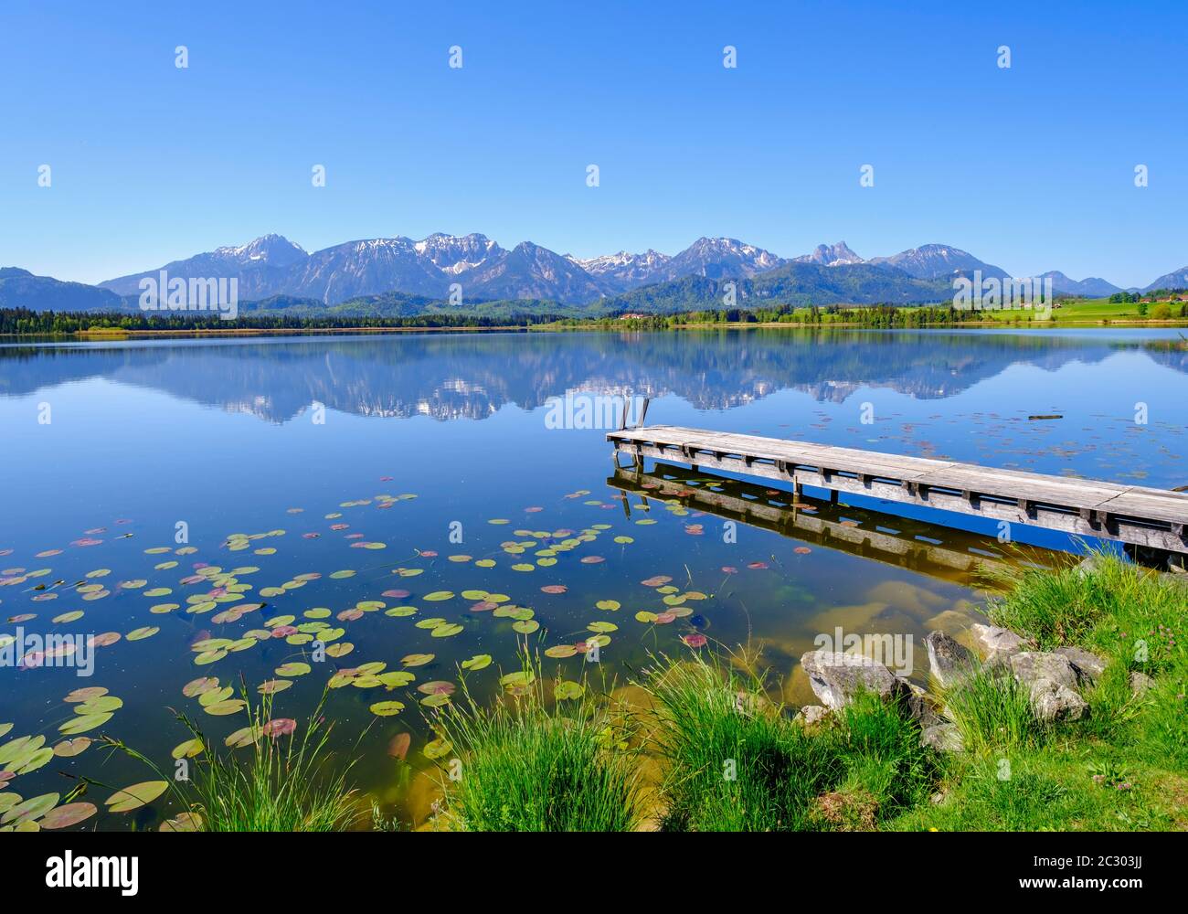 Passerella nel lago, Hopfensee, Tannheimer Berge con Gehrenspitze, Hohe Schlicke, Brentjojch e Breitenberg, Hopfen am See, vicino a Fuessen Foto Stock