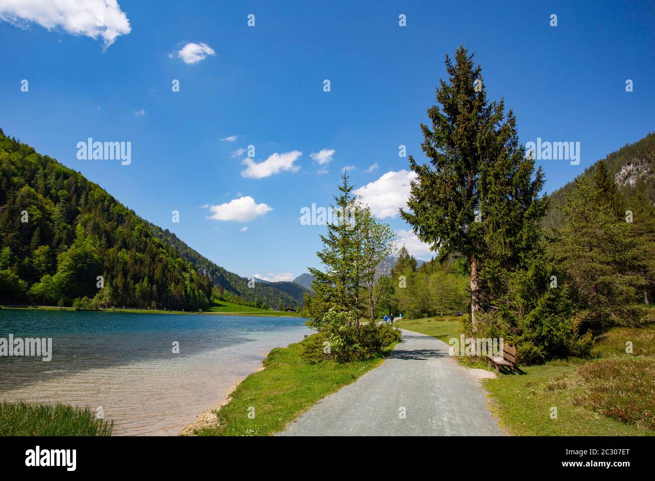 Lago di montagna, sentiero intorno al lago, Pillersee, Sankt Ulrich am Pillersee, Pillerseetal, Tirolo, Austria Foto Stock