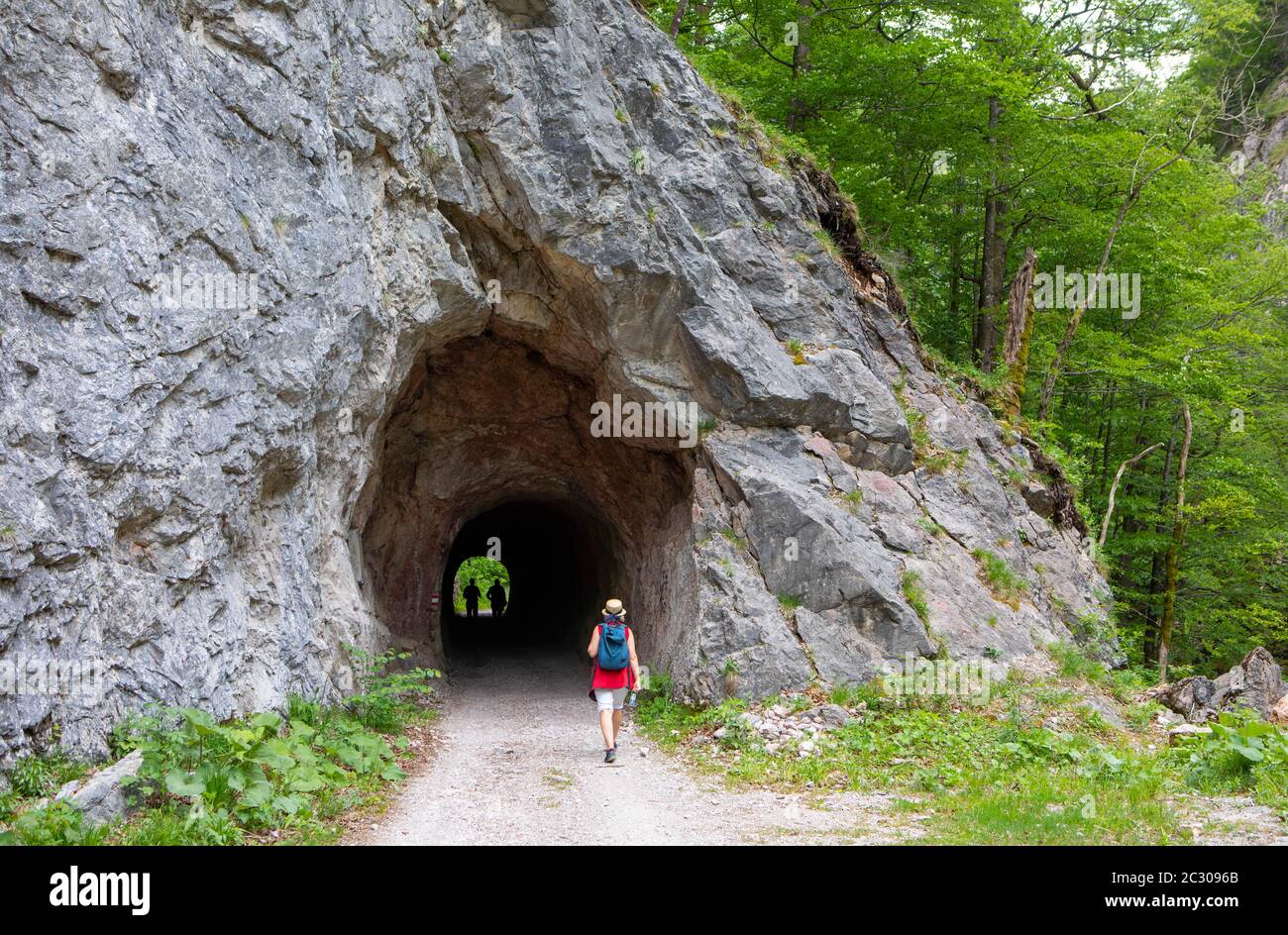 Escursione da Rettenbachalm attraverso Rettenbachtal a Blara Alm, l'imperatore Franz Josef Solenleitung Tunnel, Bad Ischl, Salzkammergut, alta Austria, Austria Foto Stock