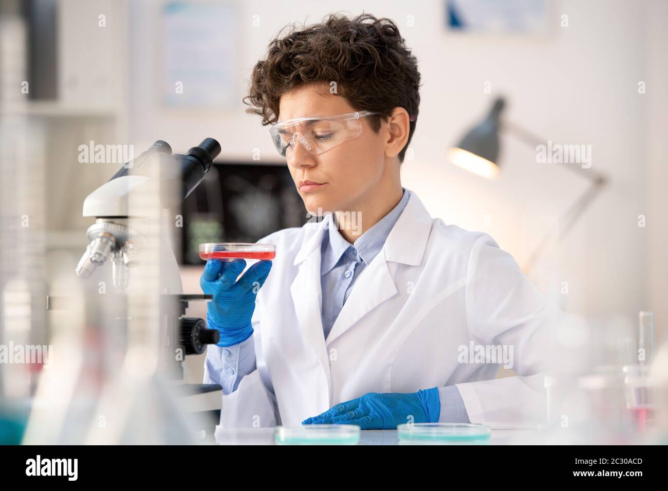 Giovane esperto di laboratorio attento in occhiali di protezione e guanti che guarda la sostanza rossa in una piastra Petri mentre si fa ricerca in laboratorio Foto Stock