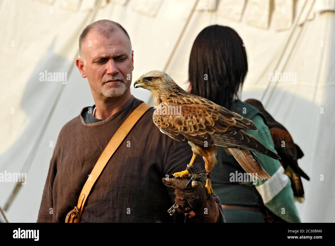 Falconer con l'Aquila imperiale orientale (Aquila heliaca), spettacolo di rapaci, festival storico della città, Gelnhausen, Main-Kinzig-Kreis, Assia, Germania Foto Stock