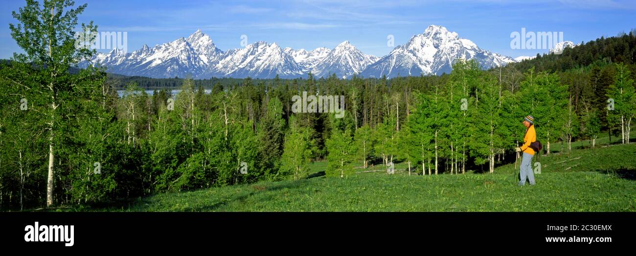 Escursionista ammirando la vista panoramica di Teton Range, Wyoming, Stati Uniti Foto Stock