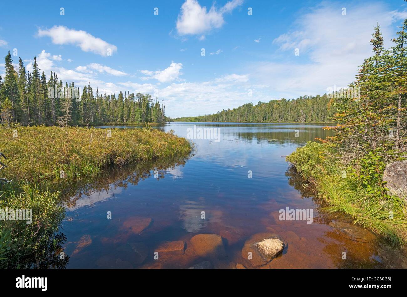 Giornata di sole nel North Woods sul lago Muskeg nelle acque di confine del Minnesota Foto Stock