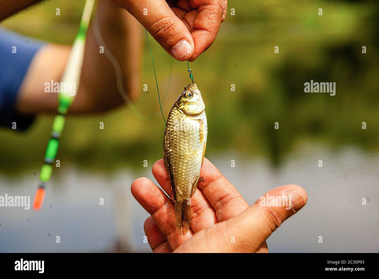 Caccia al pesce in modo tradizionale nella natura Foto Stock