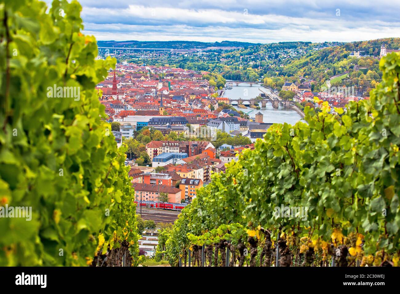 Città vecchia di Wurzburg vista dalla collina vigna Foto Stock