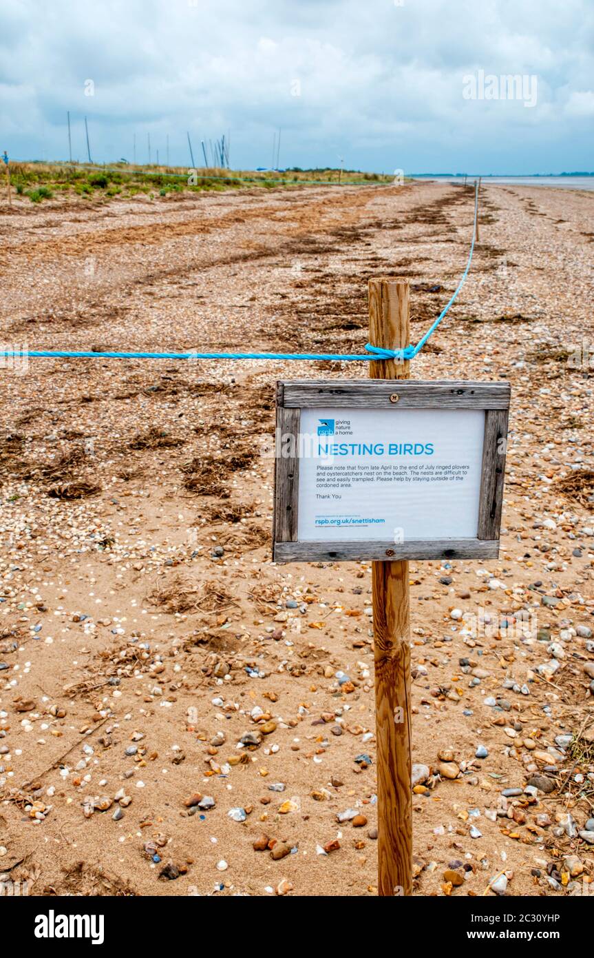 Area della spiaggia di Snettisham sulle rive del Wash si è aperta per proteggere nidi di amanti anatrati e ostriche. Un segno RSPB avverte di Nesting Birds. Foto Stock
