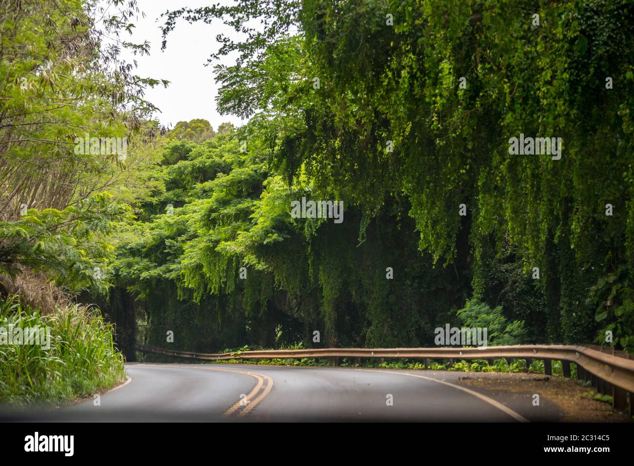 Una lunga strada lungo la strada di Maui, Hawaii Foto Stock