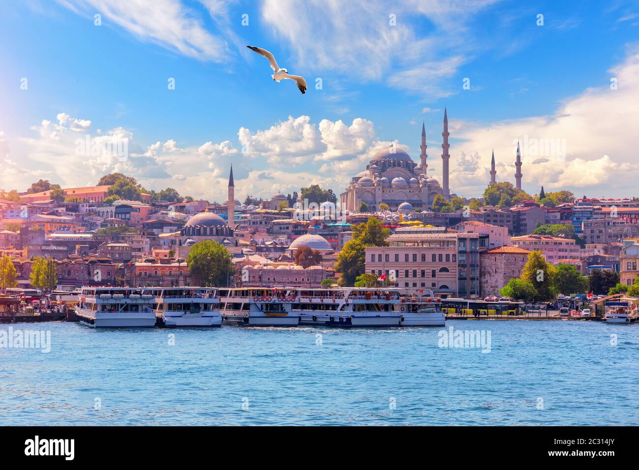 Vista sul quartiere Eminonu e la Moschea di Suleymaniye dal Bosforo, Istanbul, Turchia. Foto Stock