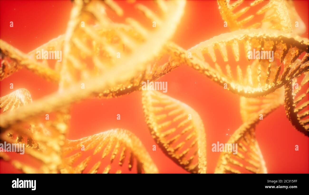 Struttura dell'animazione a doppia elica del DNA Foto Stock