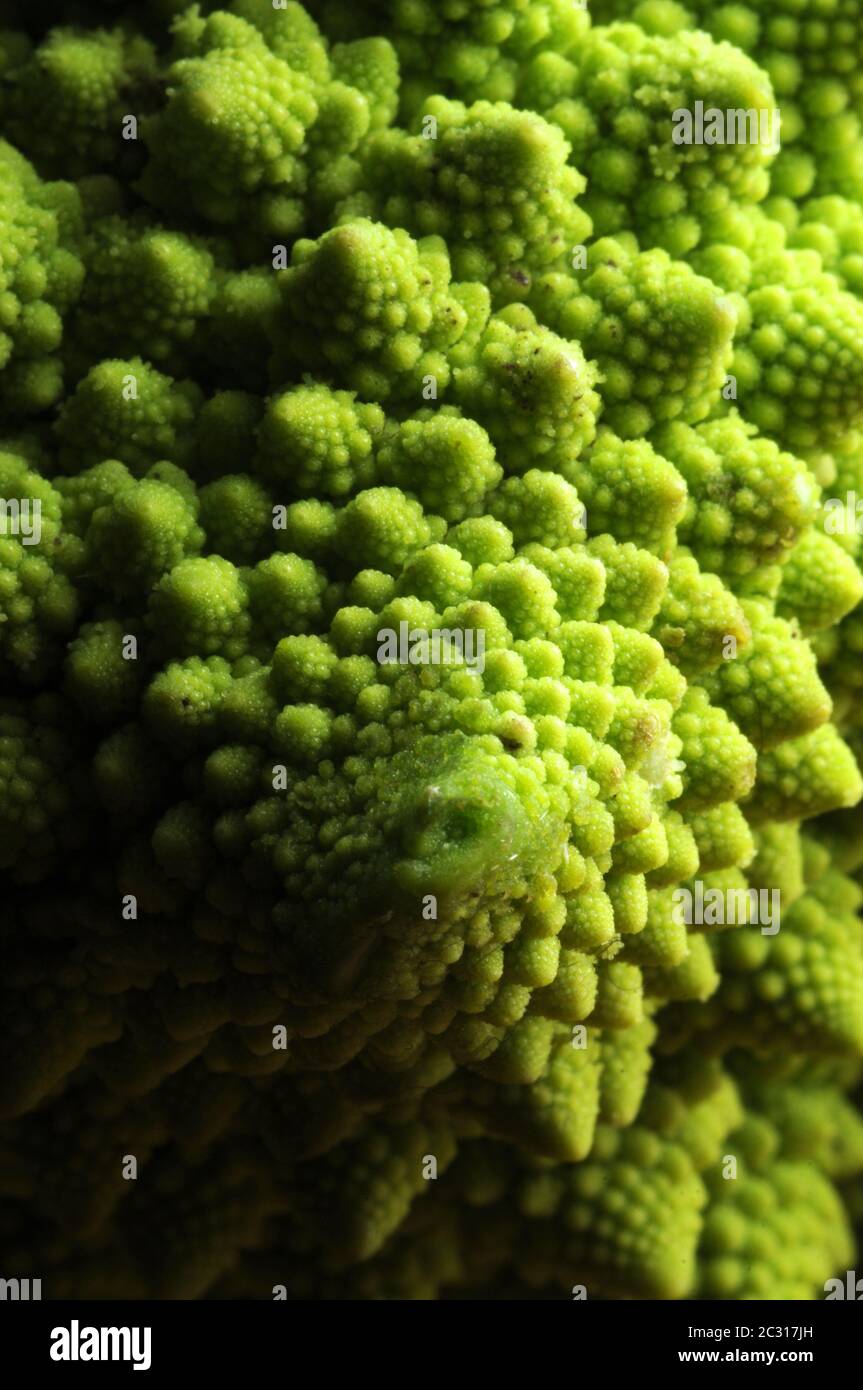 Primo piano di un fresco romanesco broccoli Foto Stock