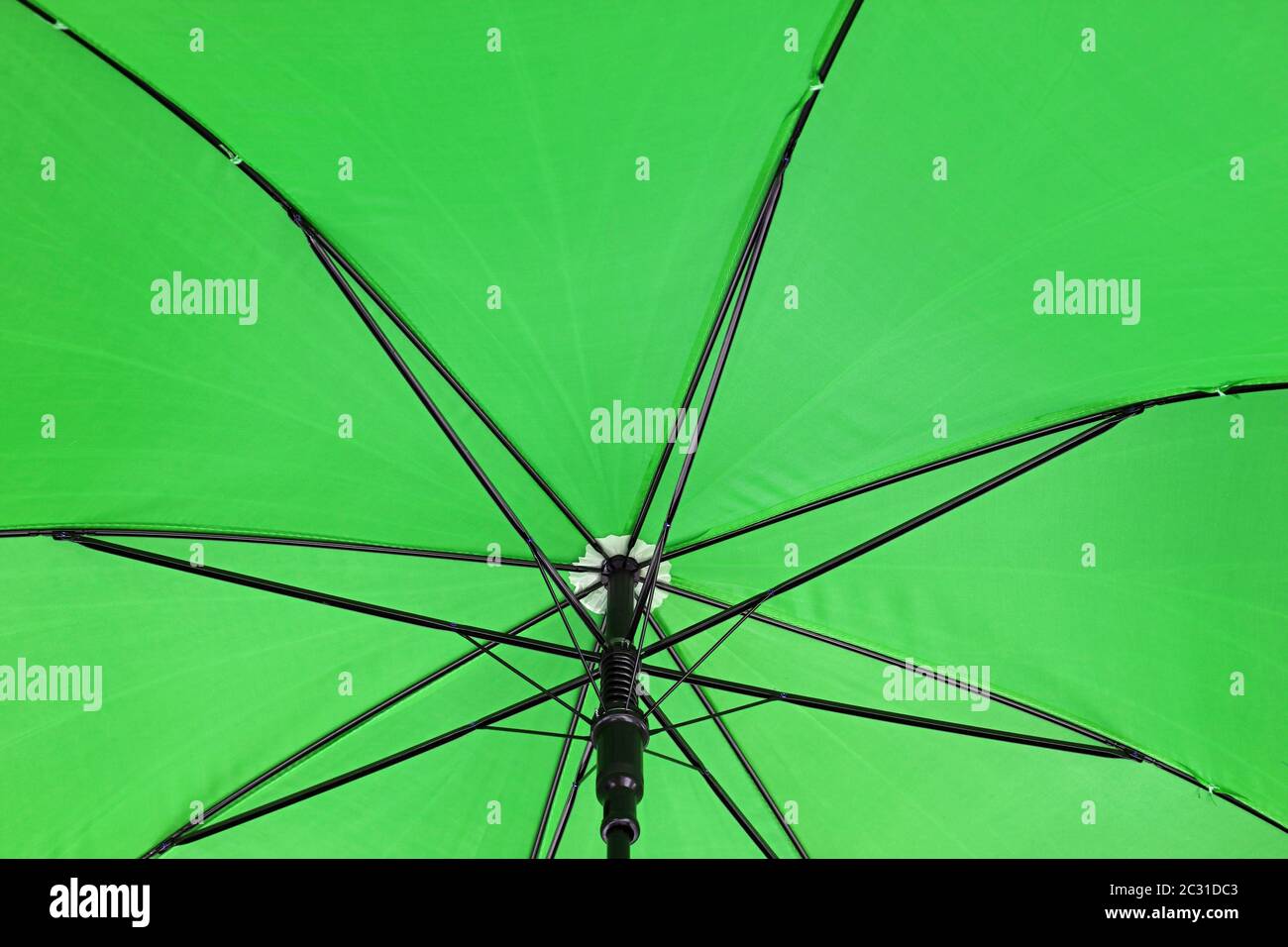 Primo piano verde colorato ombrello vivido prospettiva personale vista a basso angolo Foto Stock