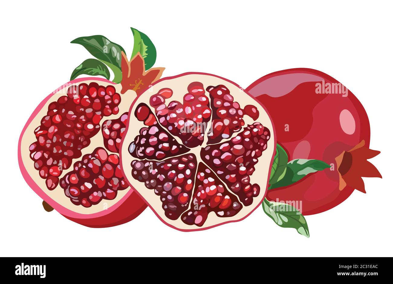 Melograno con foglie. Frutta intera e metà. Illustrazione vettoriale Illustrazione Vettoriale