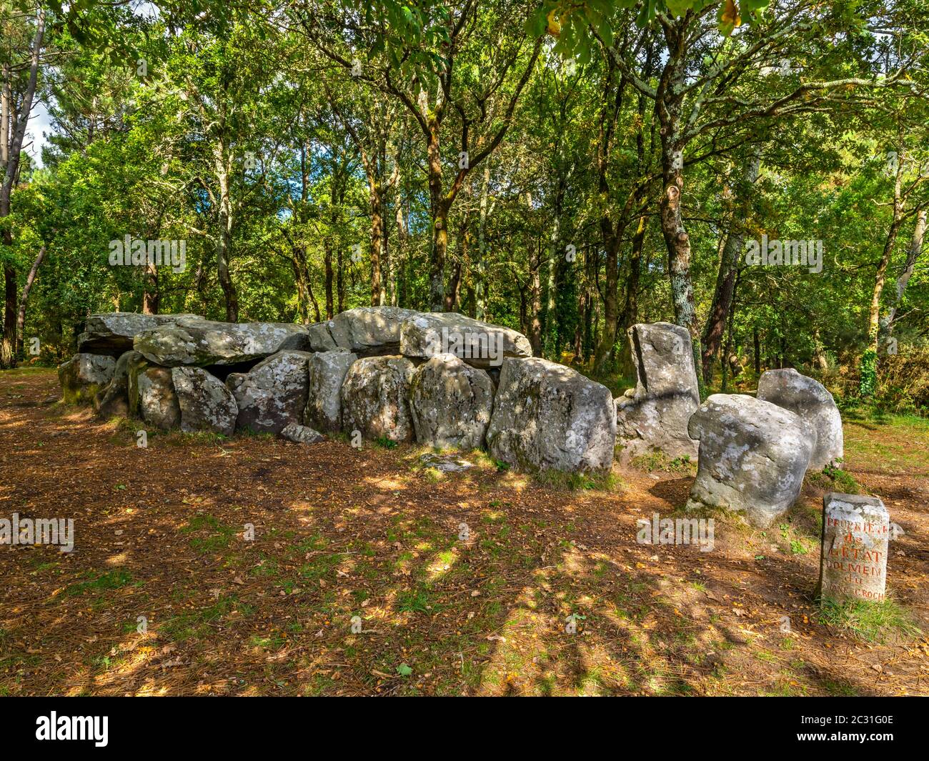 Formazioni rocciose tra la foresta, Mane Croc'h vicino a Erdeven, Bretagna occidentale, Francia Foto Stock