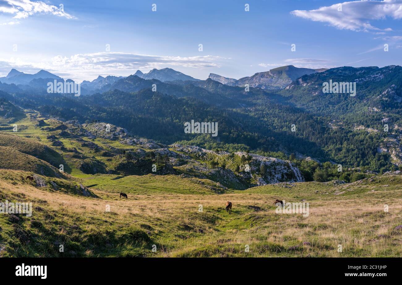 La Pierre Saint-Martin montagne, Paesi Baschi, Pirenei Atlantici, Francia Foto Stock