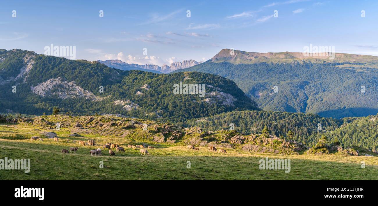 La Pierre Saint-Martin montagne, Paesi Baschi, Pirenei Atlantici, Francia Foto Stock