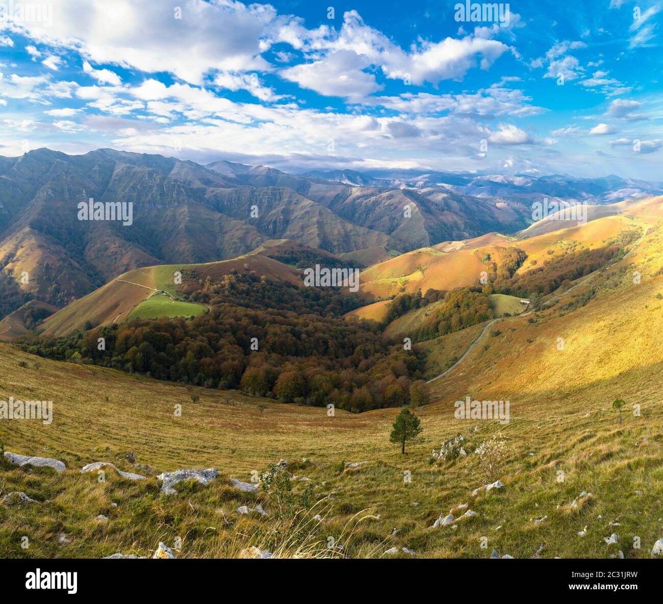 Picco di Behorleguy, montagne Iraty, Paesi Baschi, Pirenei Atlantici, Francia Foto Stock
