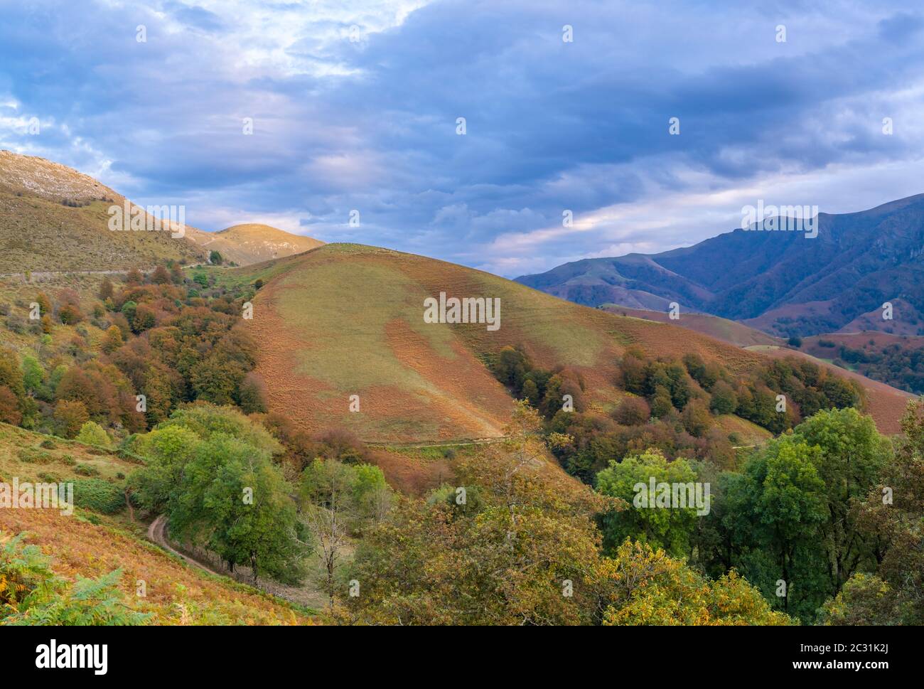 Picco di Behorleguy, montagne Iraty, Paesi Baschi, Pirenei Atlantici, Francia Foto Stock