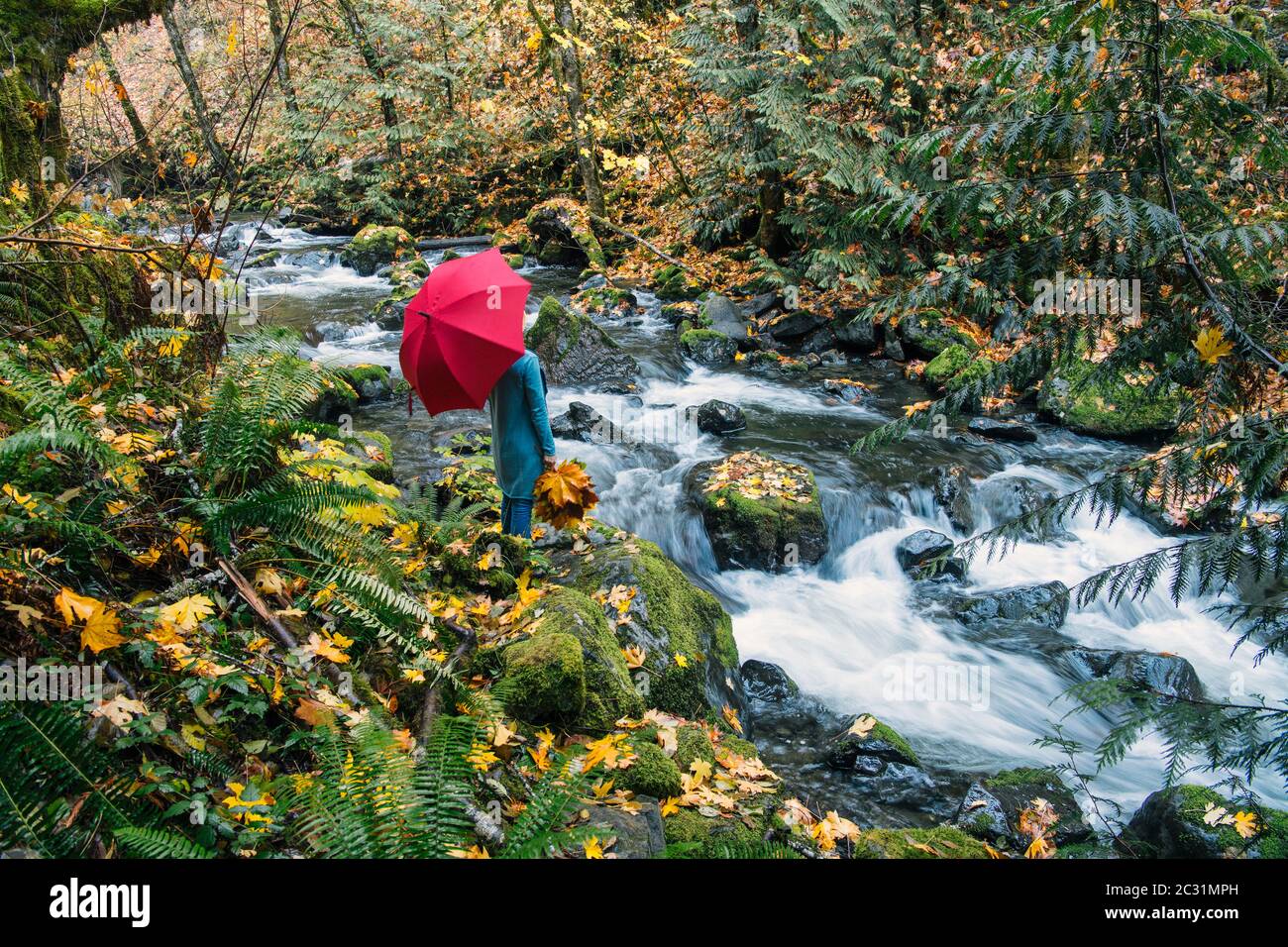 Vista della donna sulla roccia con bouquet di foglie di caduta, Rocky Brook Falls, Brinnon, Washington, USA Foto Stock