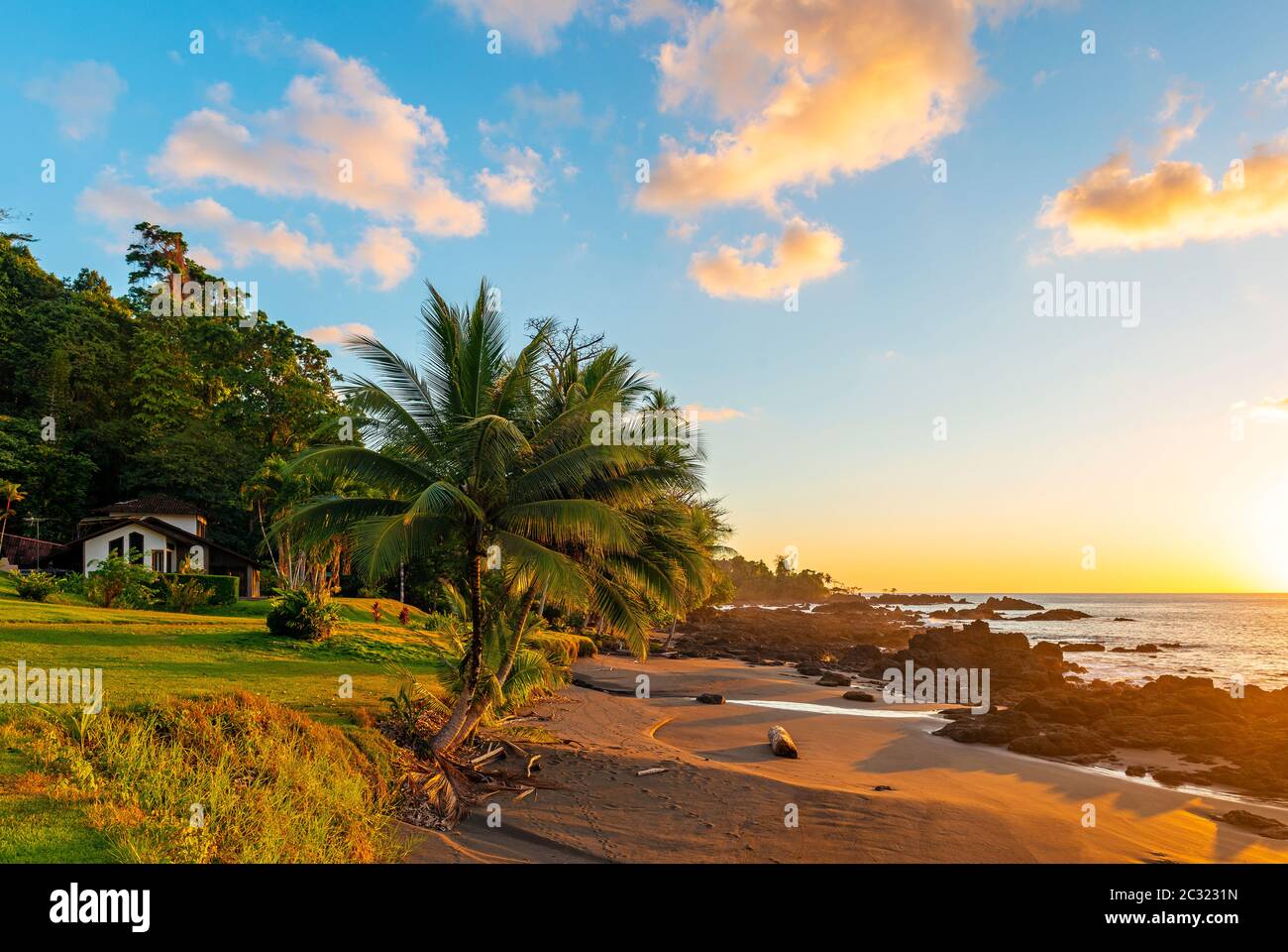 Tramonto lungo una spiaggia della Costa del Pacifico in Costa Rica all'interno del parco nazionale di Corcovado, con particolare attenzione a Palm Tree. Foto Stock
