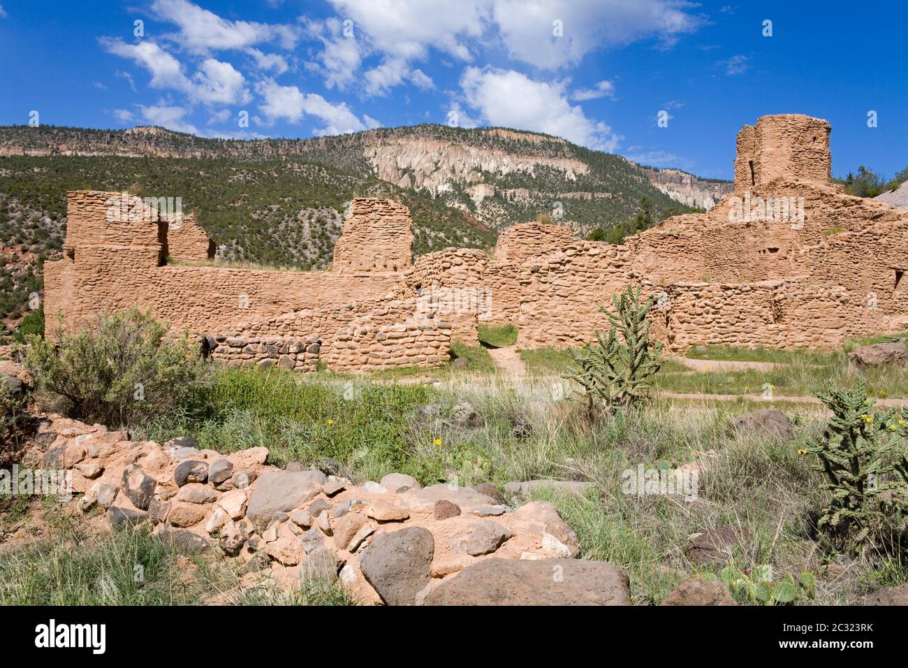 Monumento statale di Jemez, Albuquerque, nuovo Messico, Stati Uniti Foto Stock