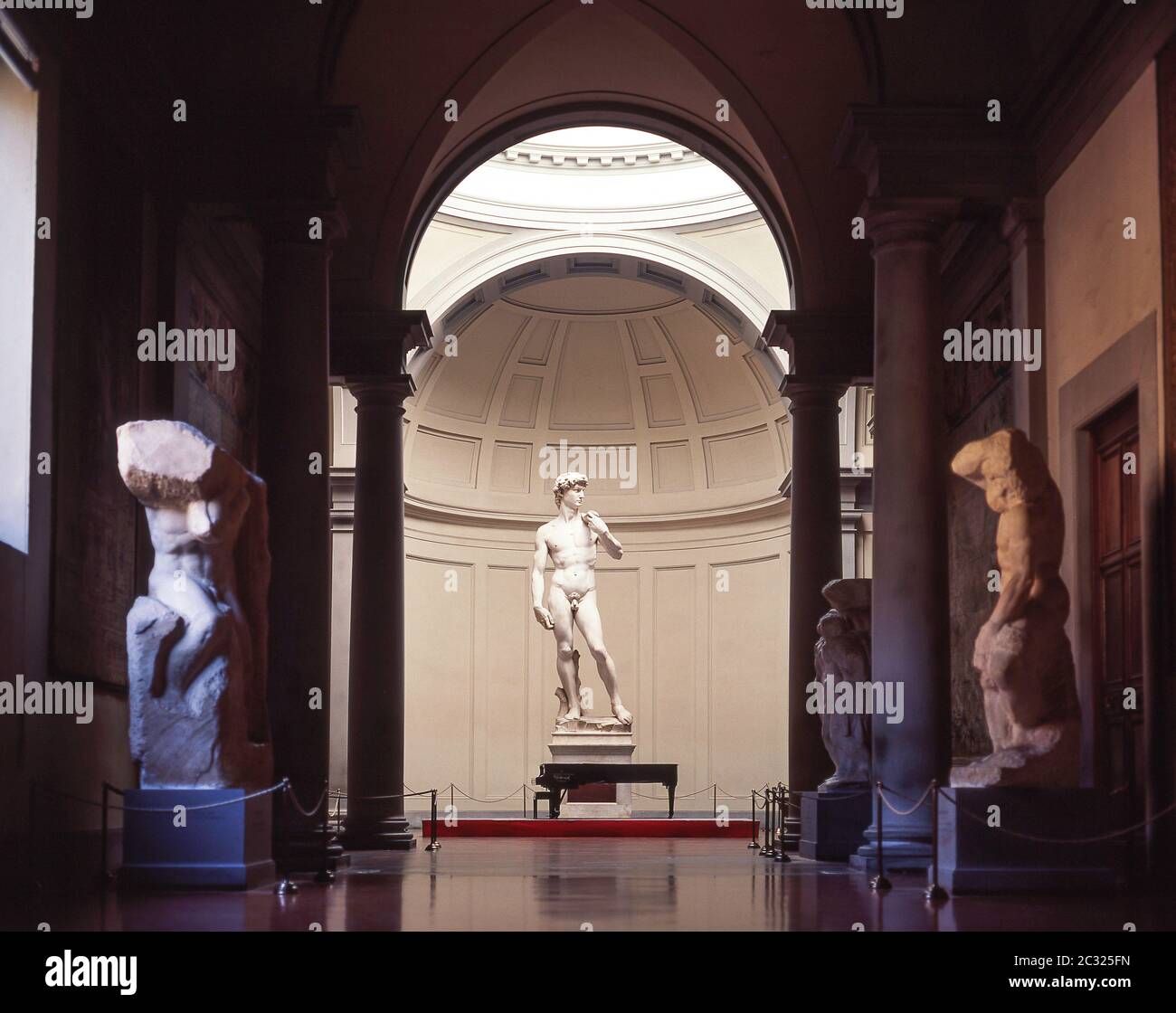 La 'Statue of David' di Michelangelo, Accademia di Belle Arti, Firenze (Firenze), Regione Toscana, Italia Foto Stock