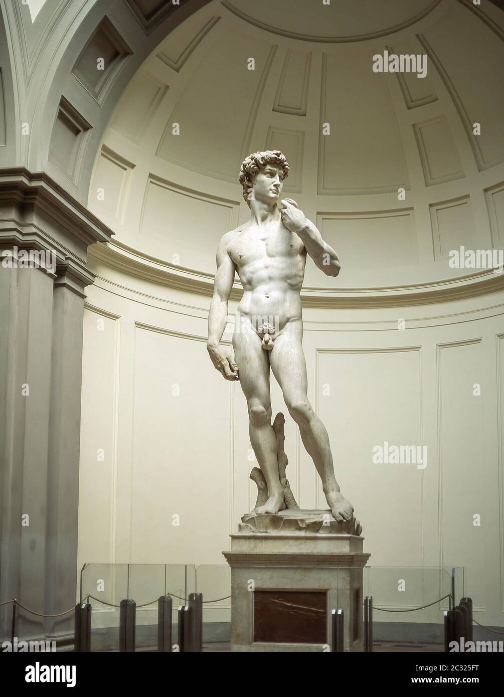 La 'Statue of David' di Michelangelo, Accademia di Belle Arti, Firenze (Firenze), Regione Toscana, Italia Foto Stock